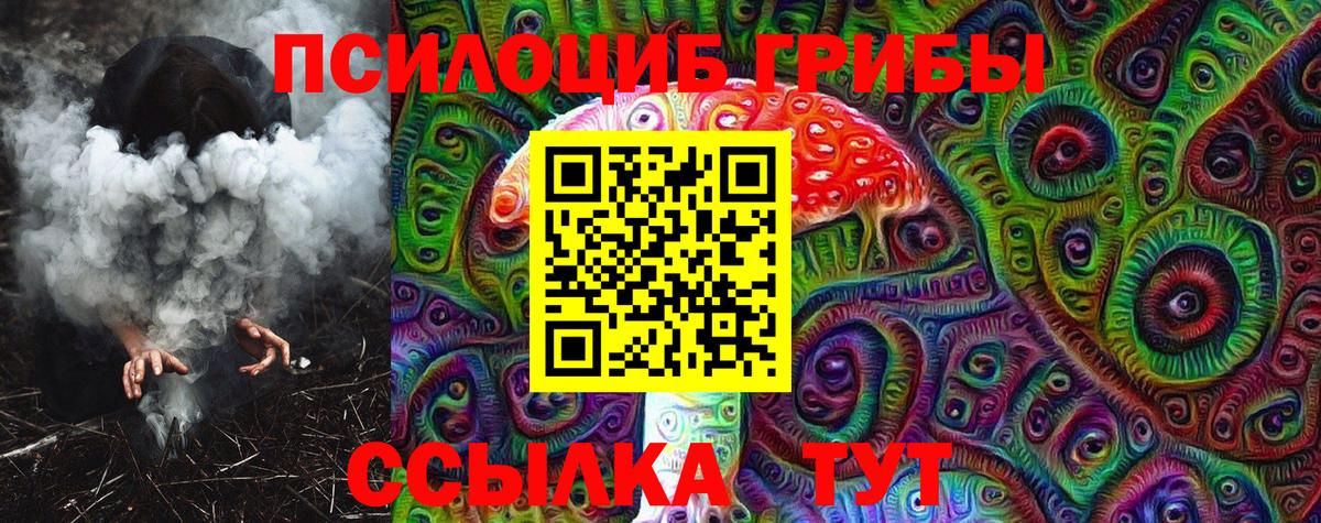 Звенигород  Псилоцибиновые грибы Cubensis  что такое   Вход с VPN 